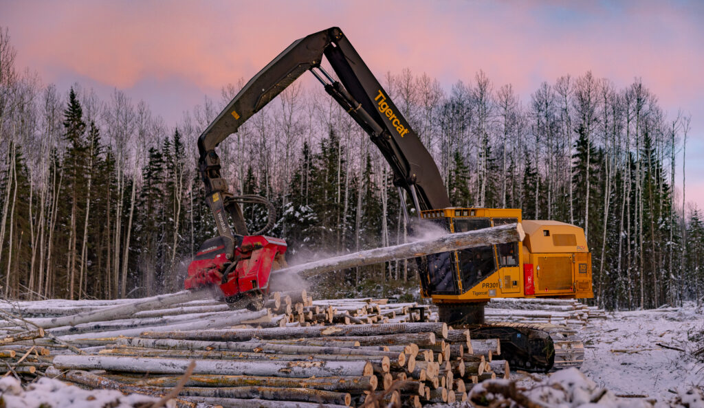 Northern Timber Management Biomass featuring a tigercat processor harvesting.